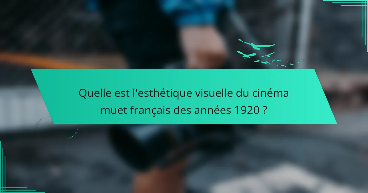 Quelle est l'esthétique visuelle du cinéma muet français des années 1920 ?